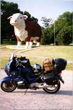 Albert the Bull