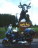 http://www.davidebsmith.org/new/wp-content/uploads/2017/05/thm_ChattyBelle.jpg