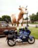 http://www.davidebsmith.org/new/wp-content/uploads/2017/05/thm_CowJanesville.jpg